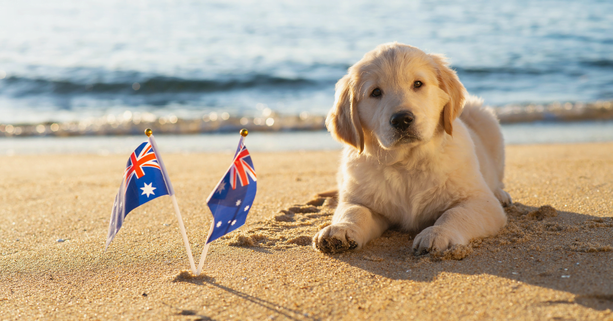 Auswandern nach Australien mit Haustiere